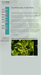Mobile Screenshot of nutzpflanzengate.picturemaxx.com